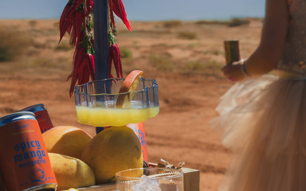 Masterita Box - 12 Pack 2026