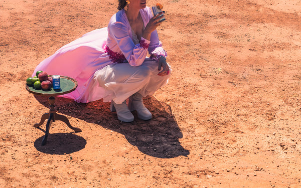 Masterita Box - 12 Pack 2026